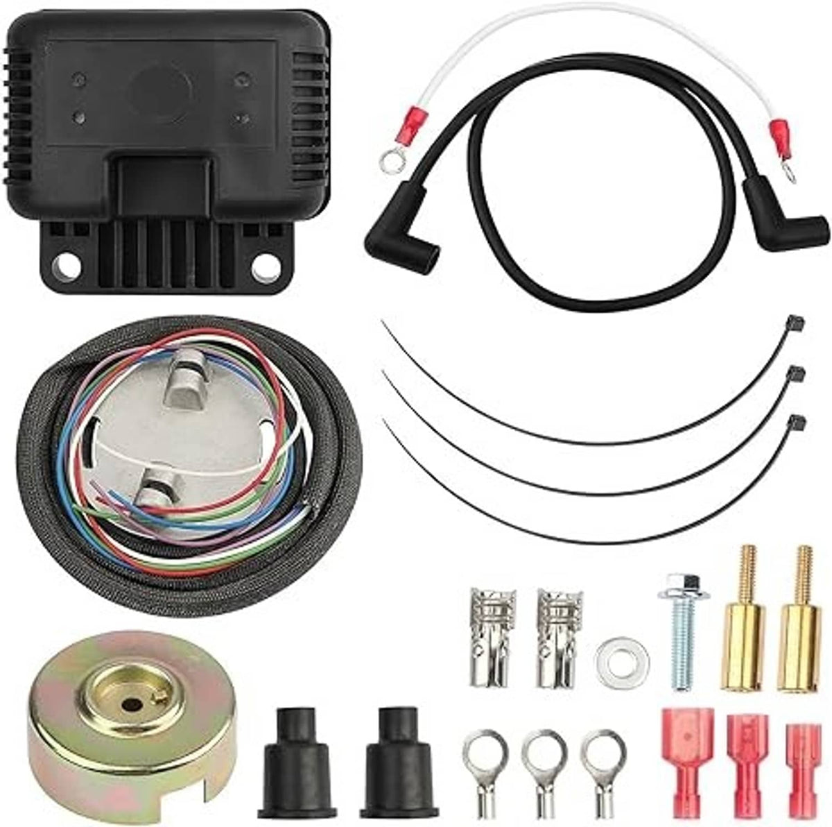 Ignition kit view: black control box, sensor coil, wiring harness, ring and terminals