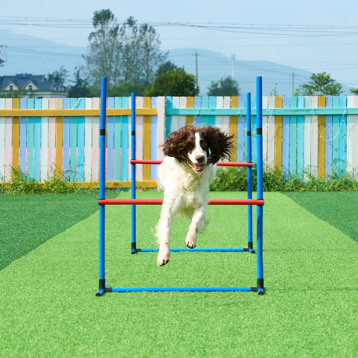 Blue dog agility hurdle with red bar and upright training frame outdoors