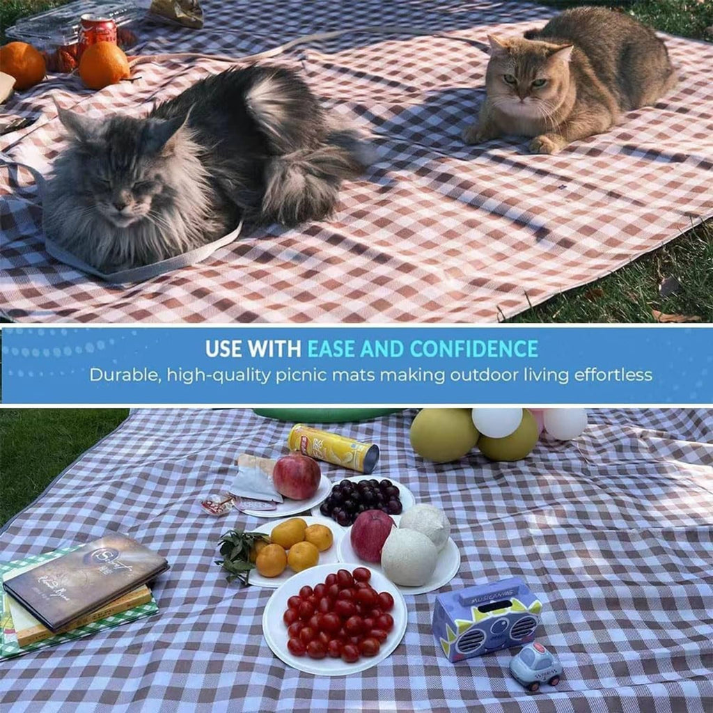 Brown and white checkered picnic blanket outdoors with two cats resting