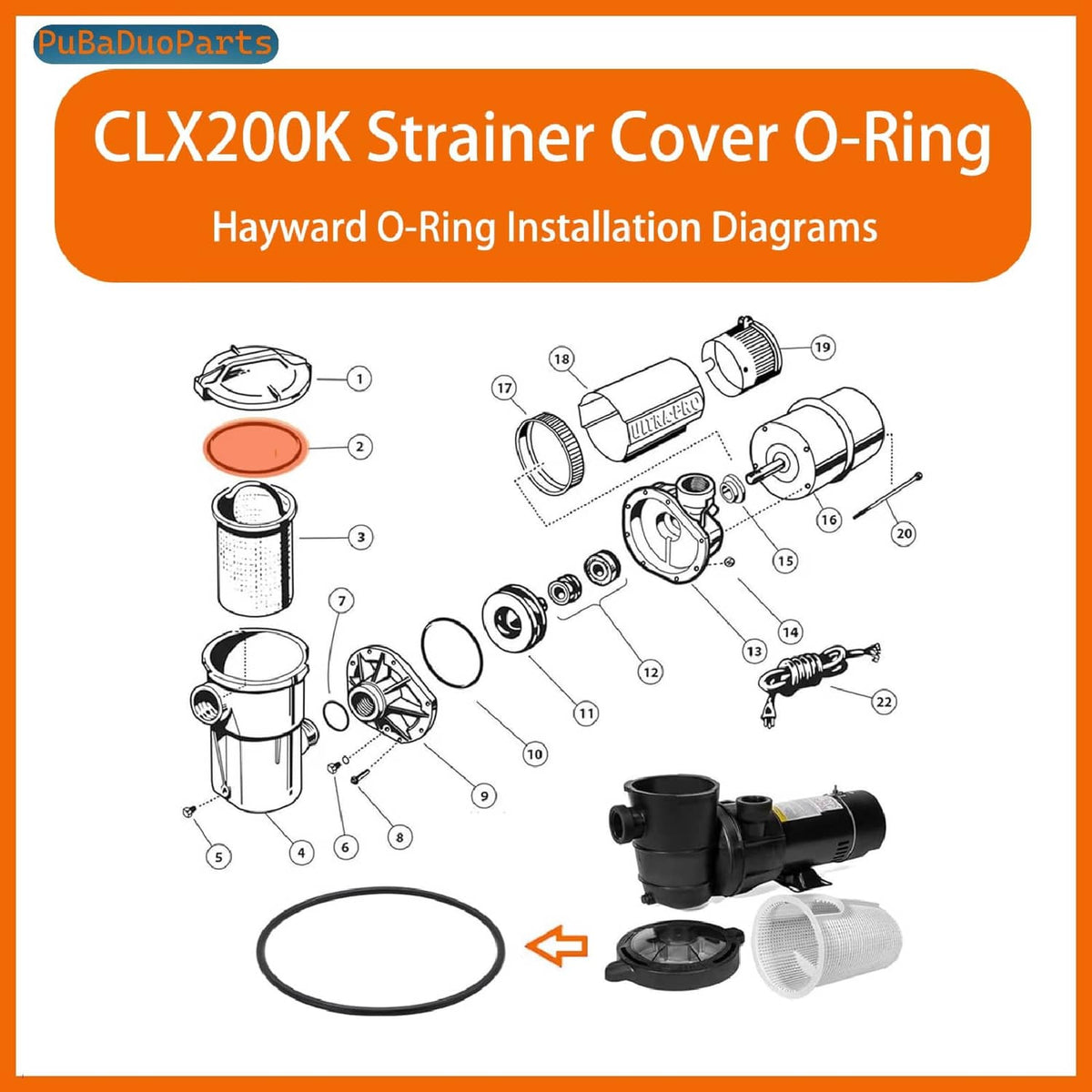 Black O-ring for strainer cover, shown in an installation diagram