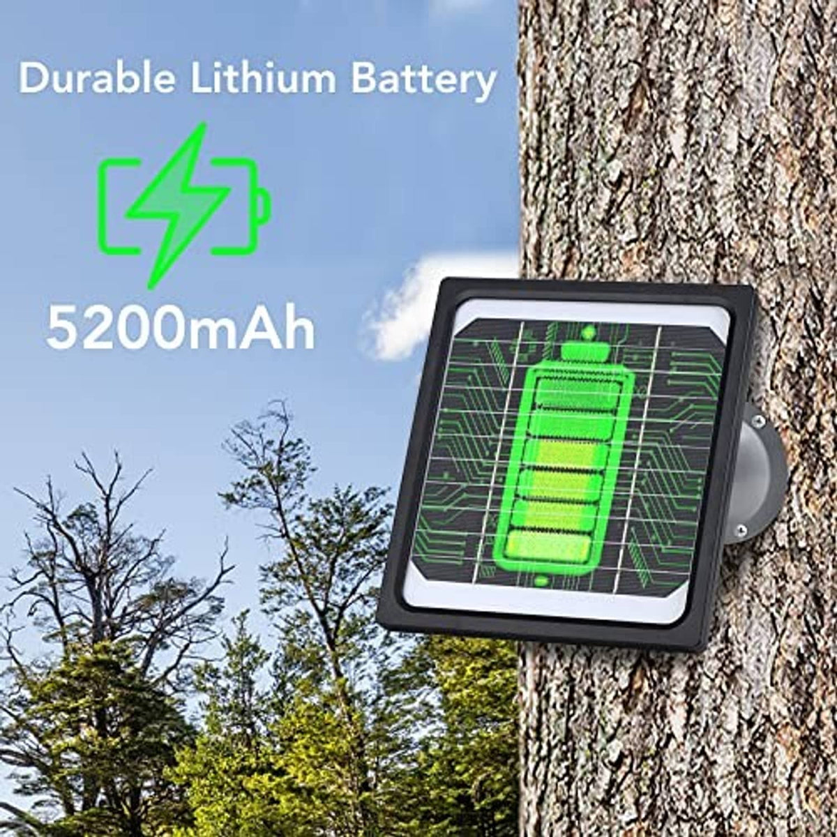 Solar panel in black frame mounted on tree trunk with charging cable
