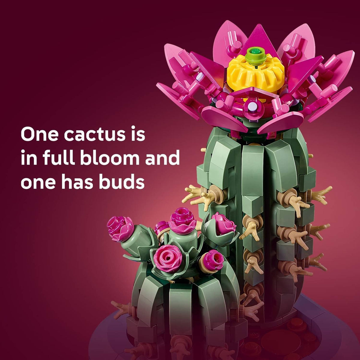 LEGO Botanicals cactus building set with one blooming cactus and one budding cactus