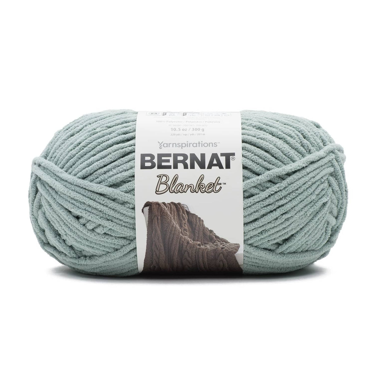Bernat Blanket super bulky chenille yarn skein, light misty green with label
