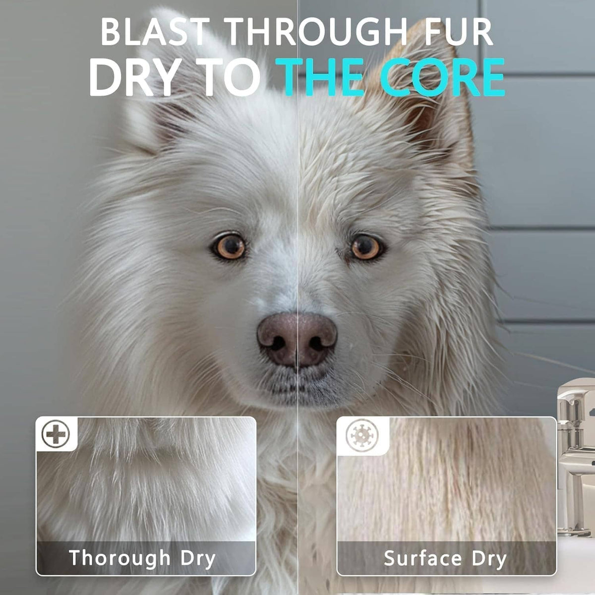 White dog with a blue-and-black dog hair dryer shown for grooming drying