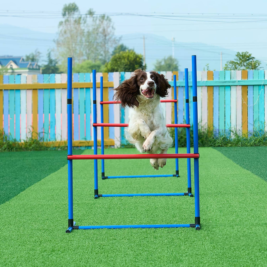 Dog hoop jump obstacle on outdoor turf with blue frame and orange ring