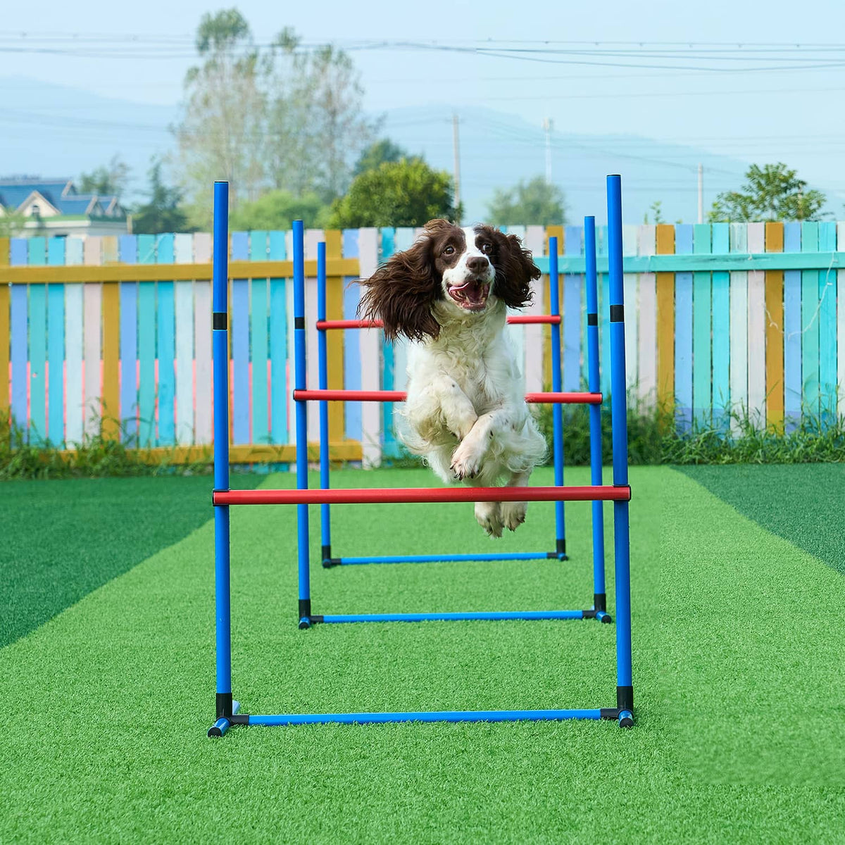 Dog hoop jump obstacle on outdoor turf with blue frame and orange ring