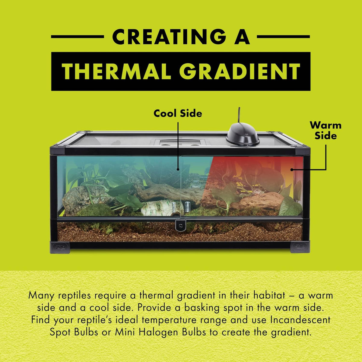 Thermal gradient diagram for incandescent reptile heat bulb with cool and warm sides