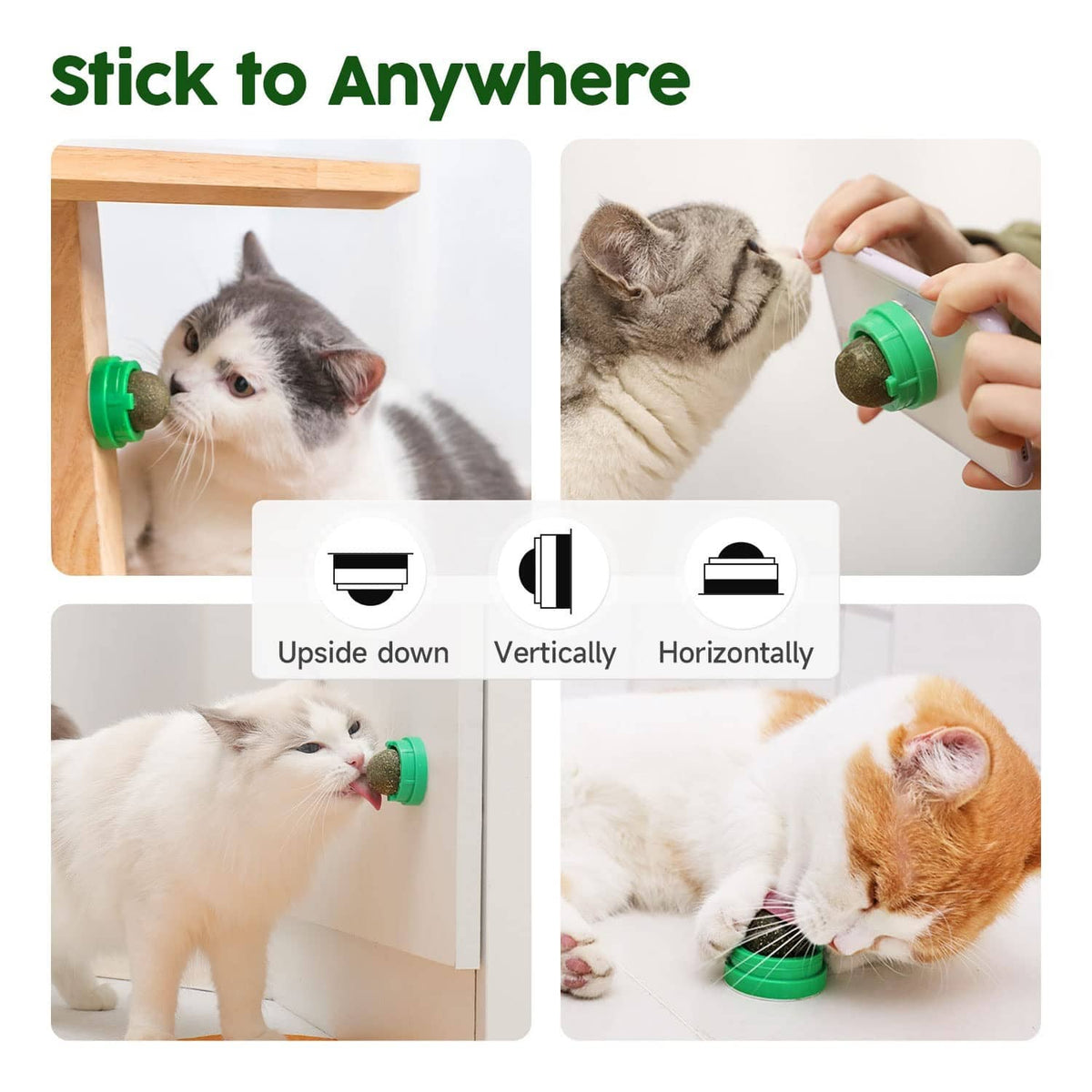 Catnip toy balls with textured tops in green holders for mounting