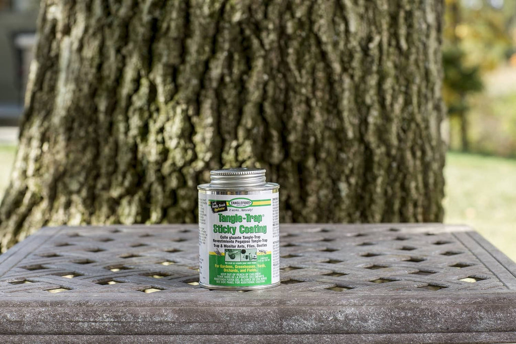 Tangle-Trap sticky coating can on outdoor table with silver lid