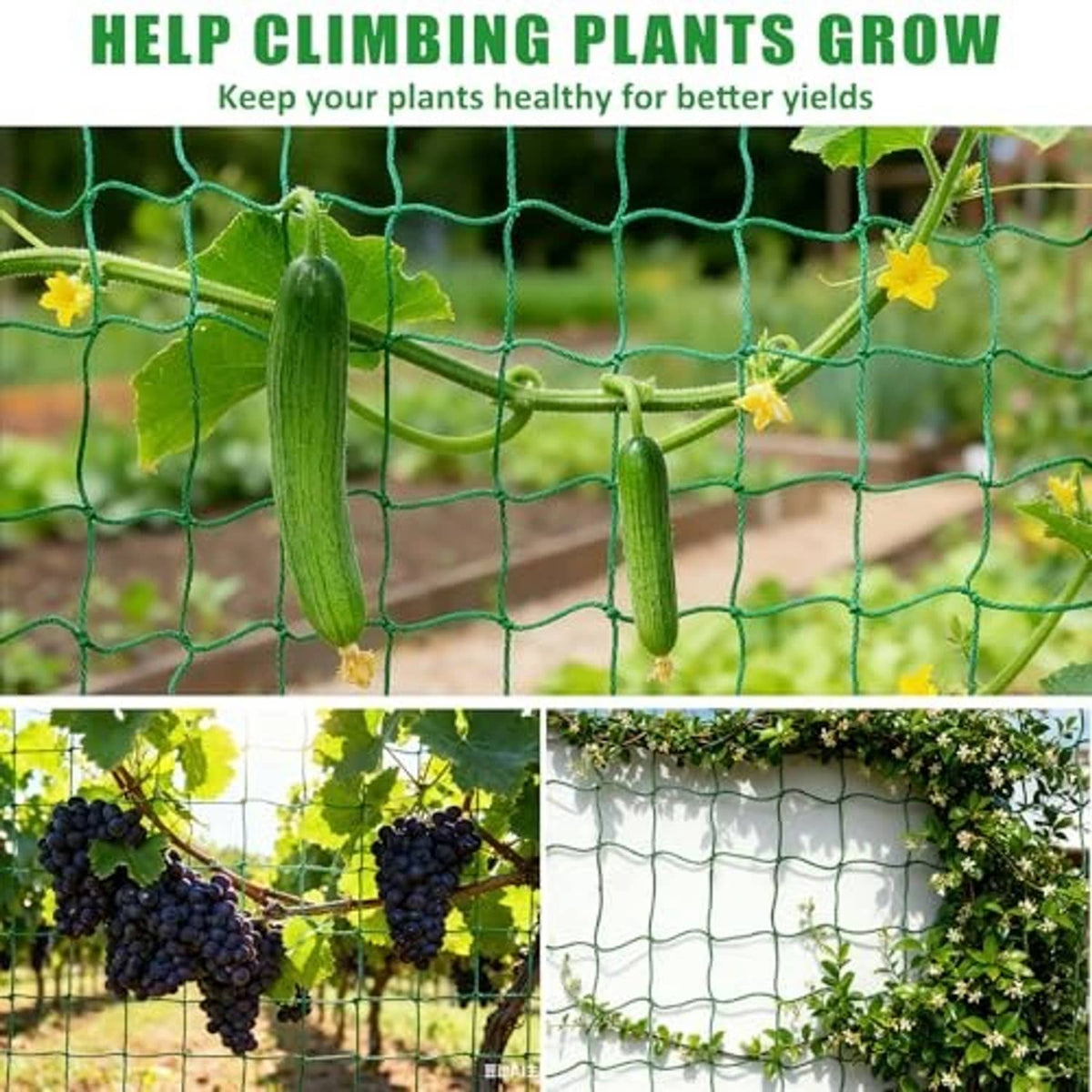 Green trellis netting with cucumbers and vine tendrils for climbing plants