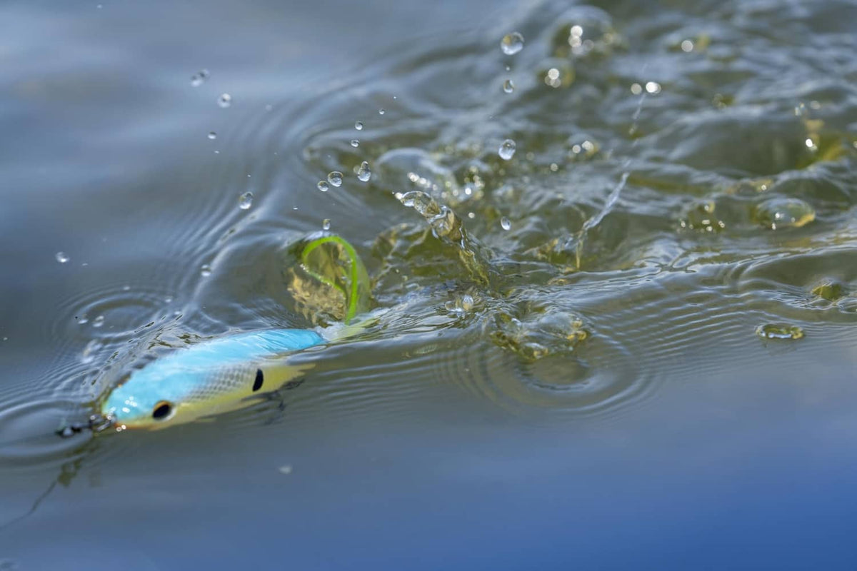 Silver-blue topwater lure in water with splash trails and front hook visible