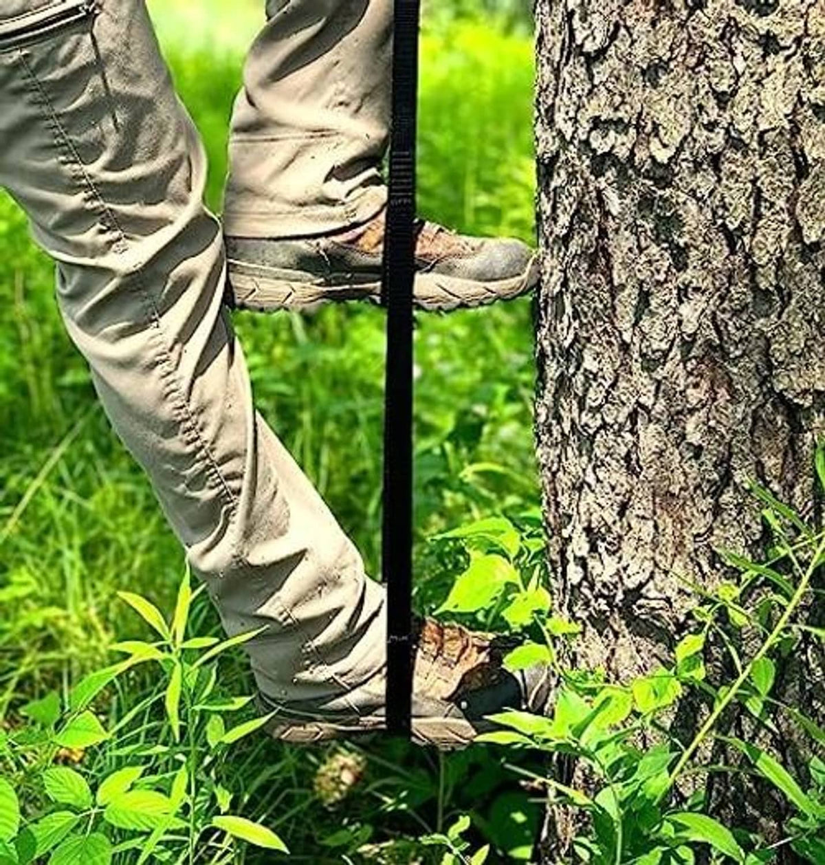 Two-step climbing aider strapped to a tree trunk for climbing support