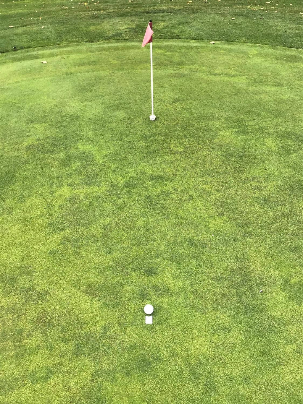 White round ball marker with centered dot