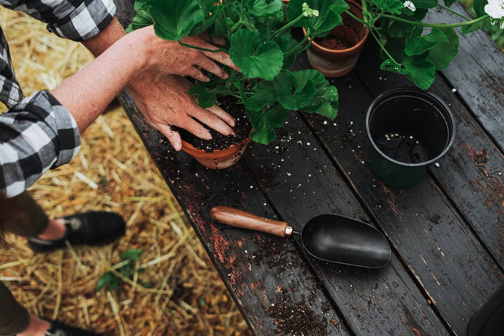 Garden scoop shovel on a wooden surface near potted plants, black scoop and handle