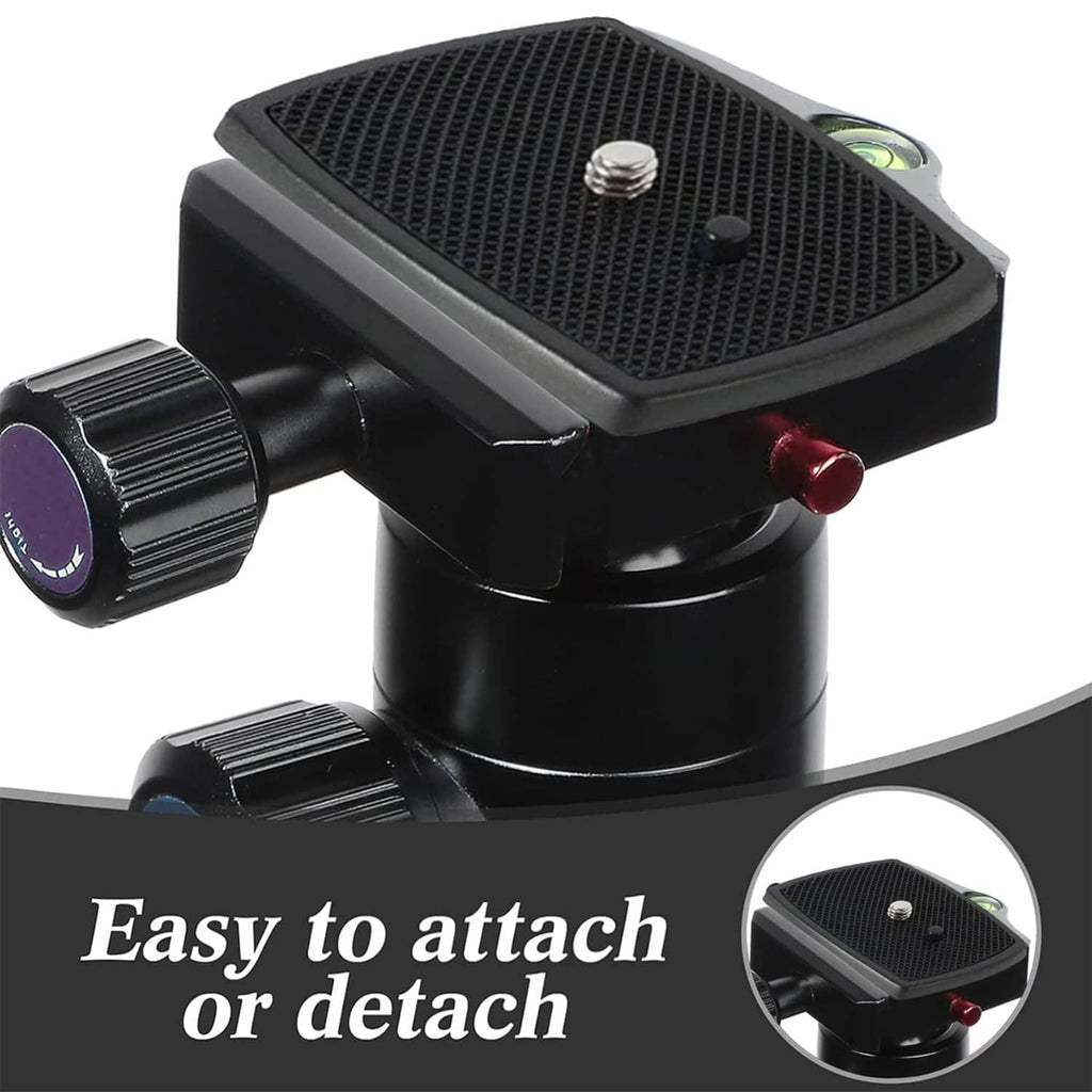 Quick release plate on tripod head, textured black mounting pad with latch mechanism