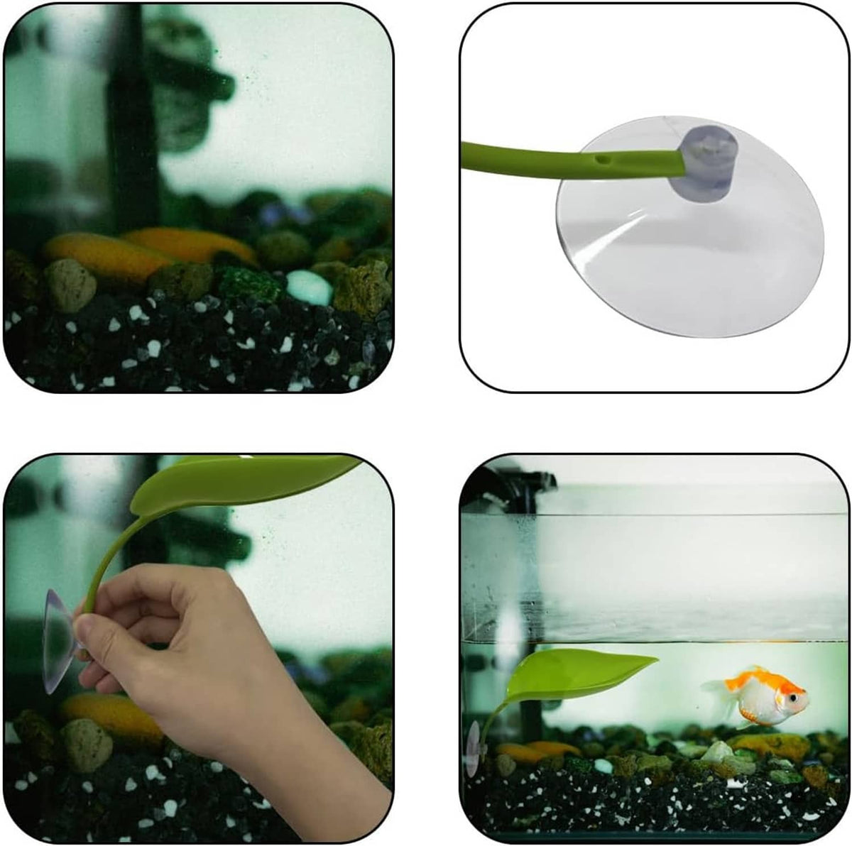 Green leaf basking platform set with suction cups; installation steps shown