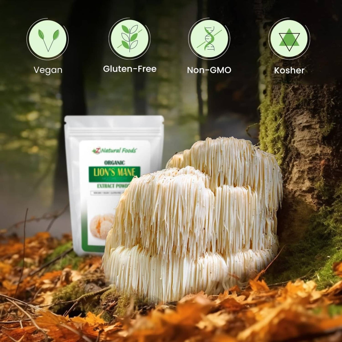 Z Natural Foods organic lion's mane extract powder pouch with lion's mane mushroom