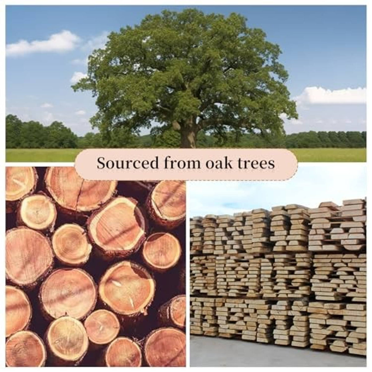 Oak wood logs and stacked lumber for frame material