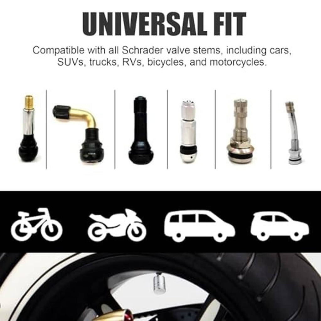 Universal set of silver tire valve stem caps with black inserts, shown with valve types