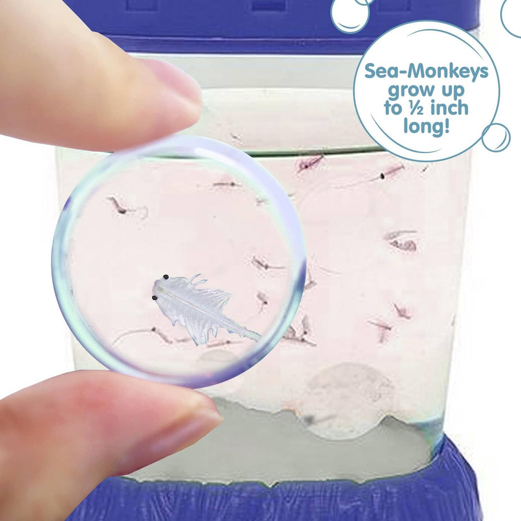 Clear Magiquarium tank magnified view showing tiny sea life inside, blue rim