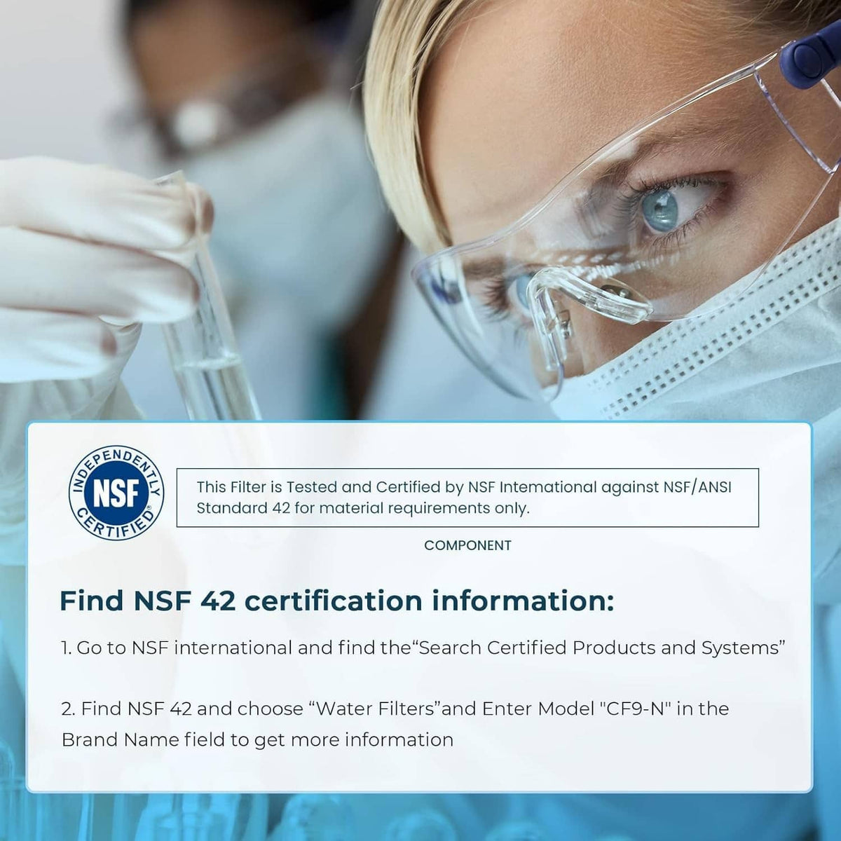 Refrigerator water filter NSF 42 certification information panel