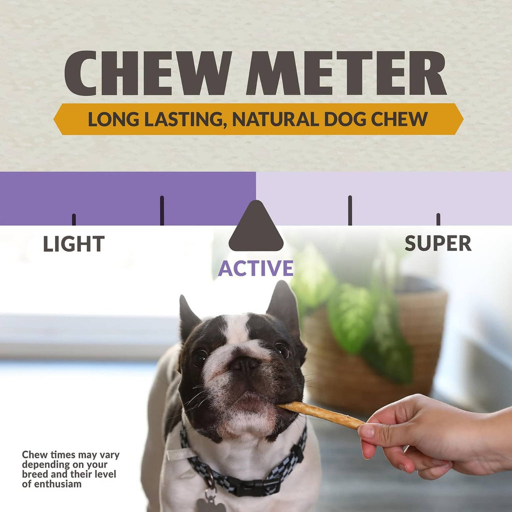 French bulldog chewing a collagen duck stick