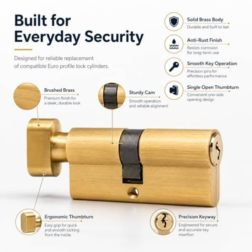 Brass euro lock cylinder with black thumbturn for everyday security
