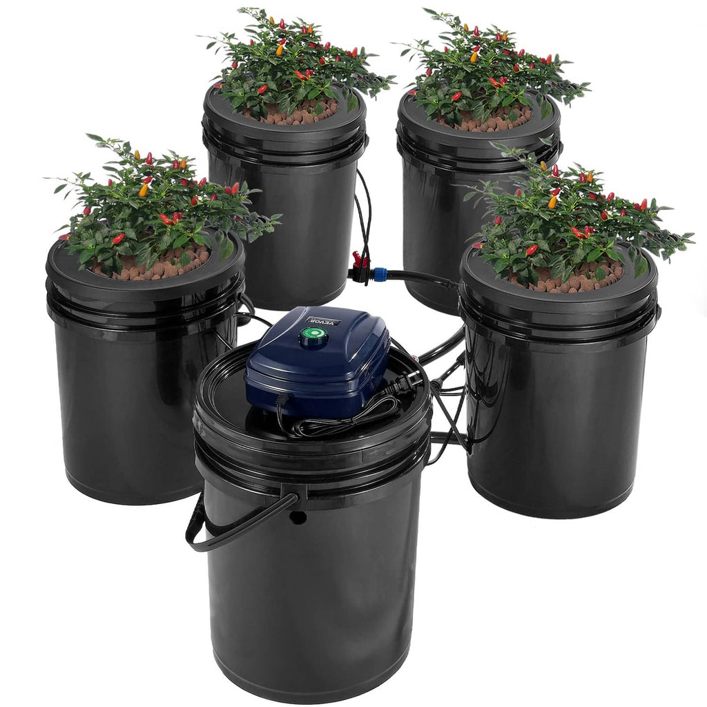 4-bucket DWC hydroponics system with blue pump, black reservoirs, and connected tubing