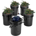 4-bucket DWC hydroponics system with blue pump, black reservoirs, and connected tubing