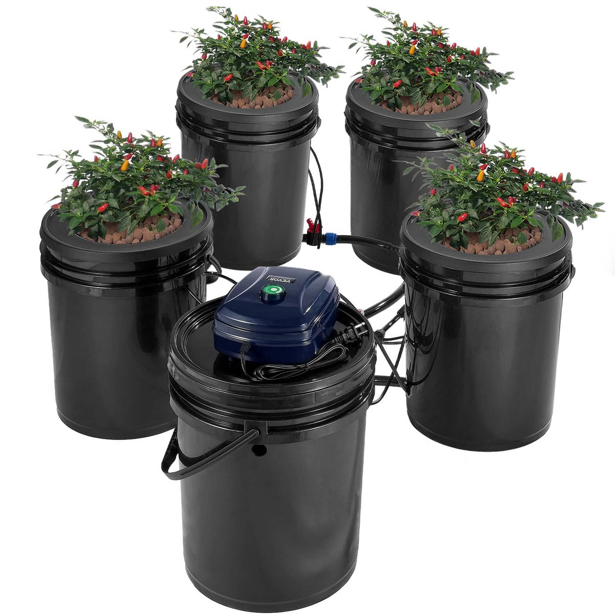 4-bucket DWC hydroponics system with blue pump, black reservoirs, and connected tubing