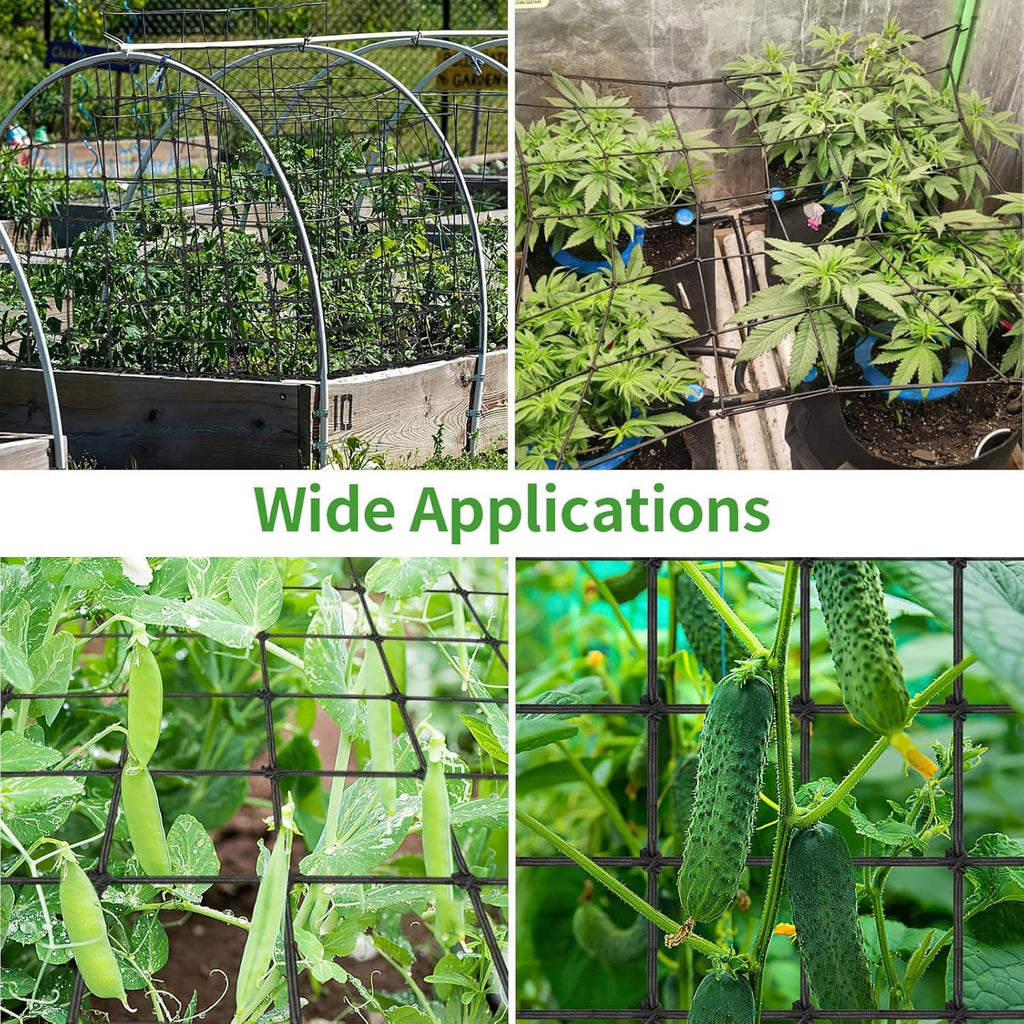 Black trellis net grid installed for greenhouse plants, supporting climbing growth