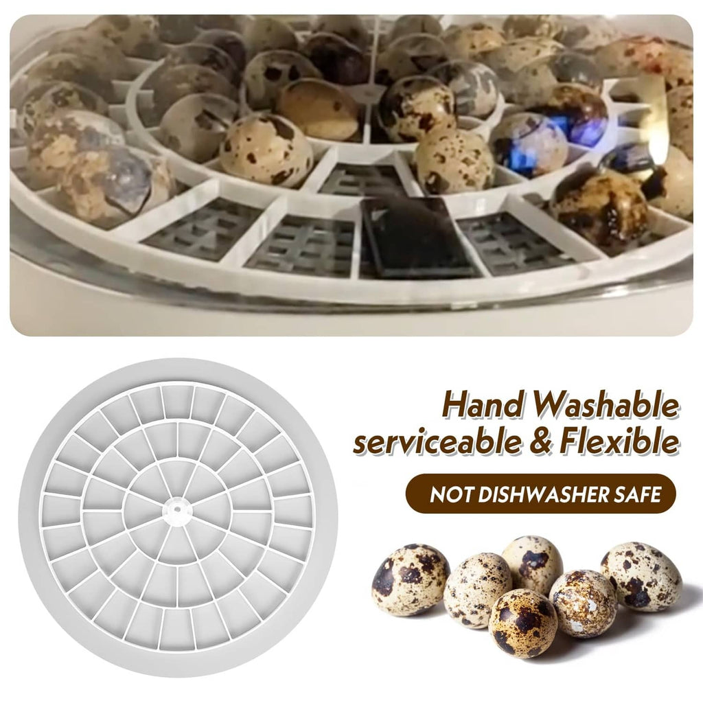White radial egg tray with speckled quail eggs filling the grid compartments