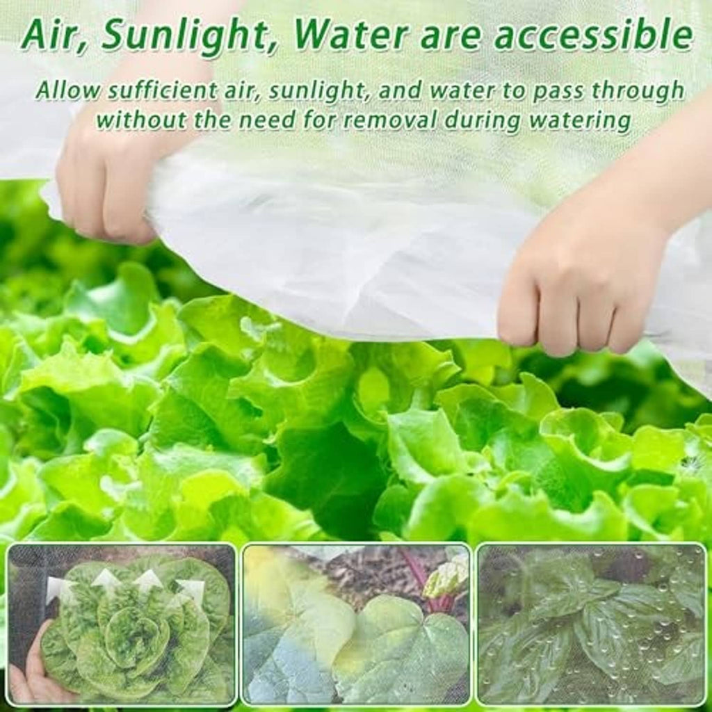 Clear garden netting sheet over leafy greens, breathable cover for air, sunlight, water