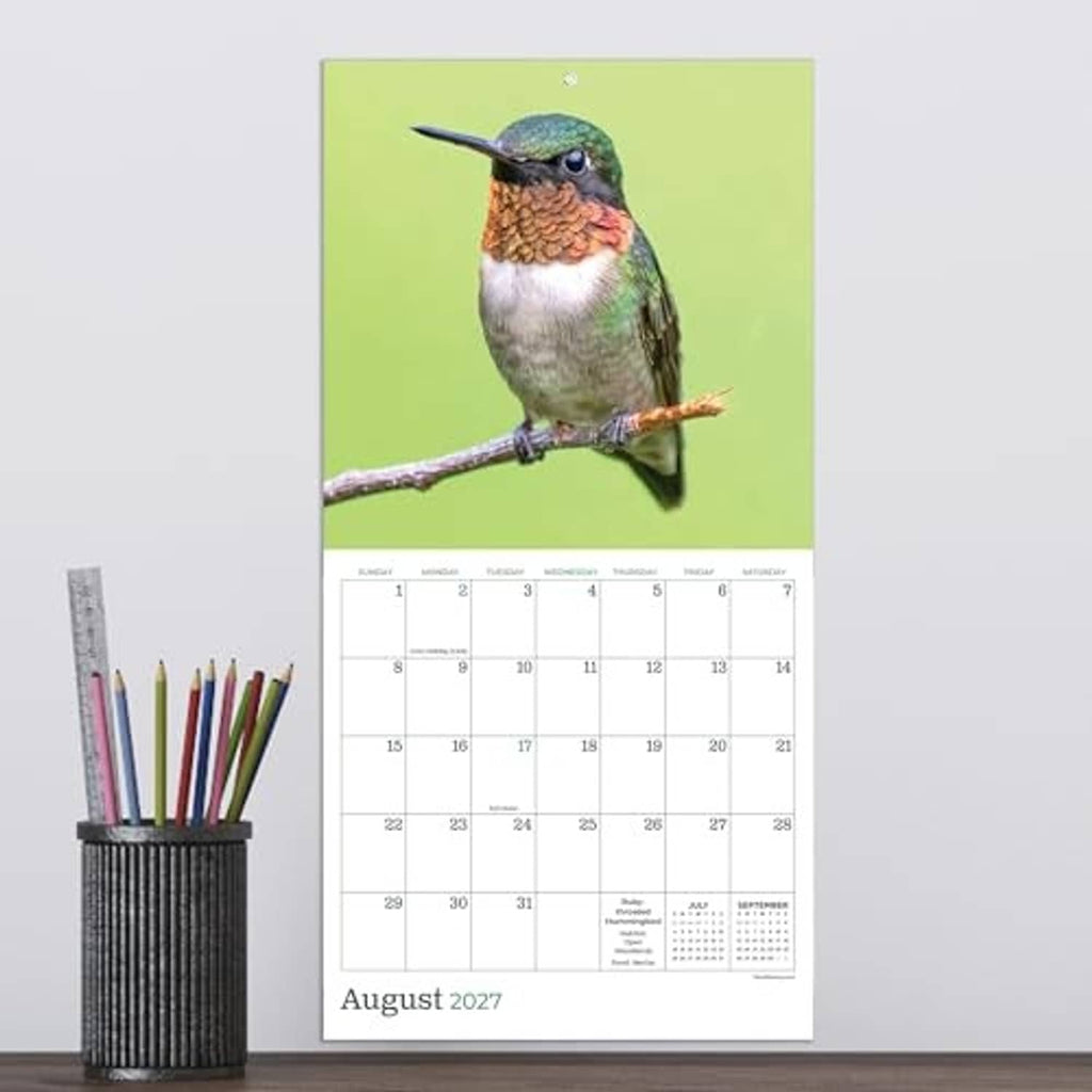 Backyard Birds 2027 mini calendar page for August 2027 with small bird on branch
