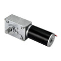 DC worm gear motor with silver housing, black cylinder, output shaft and red wire