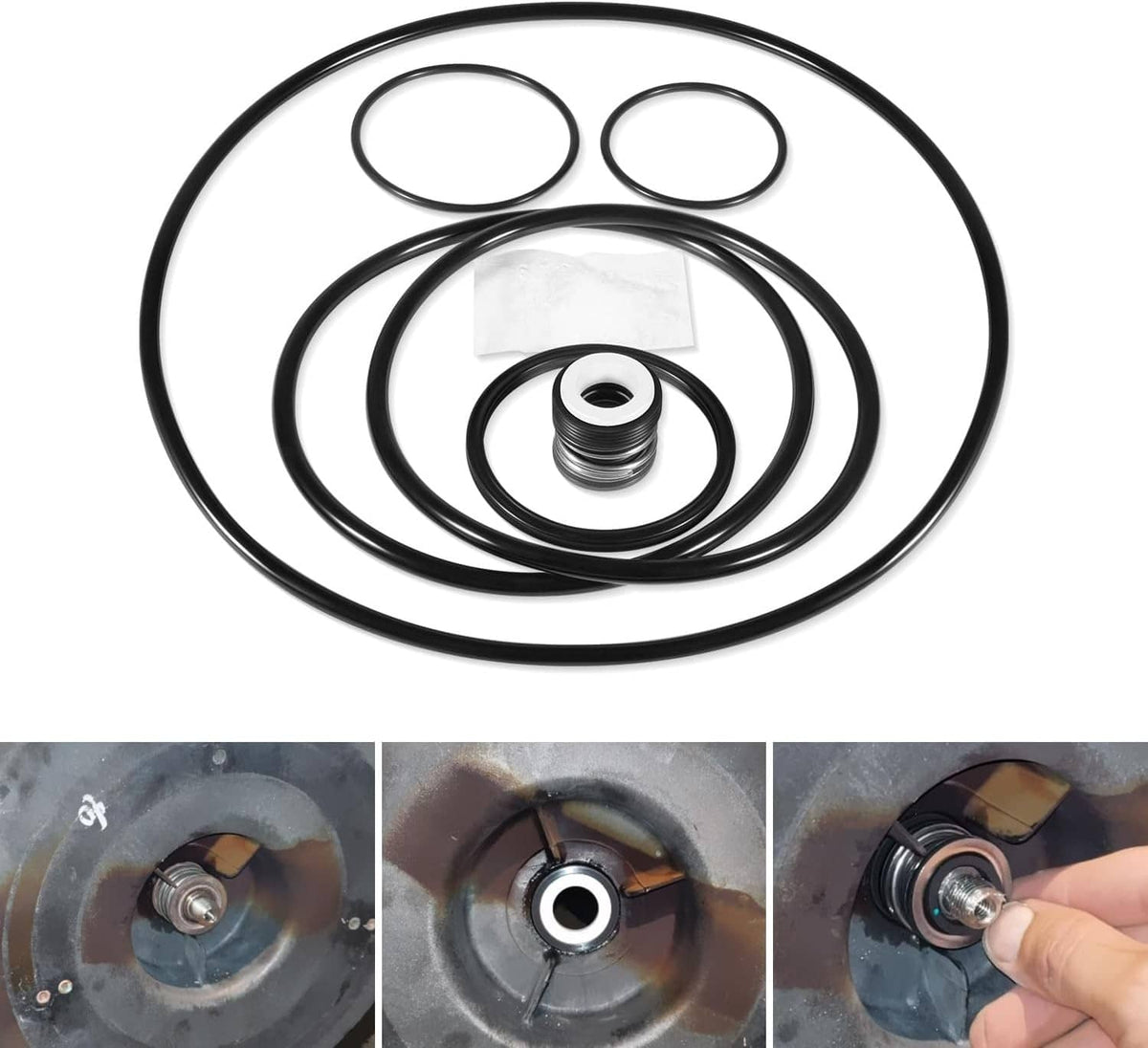 Shaft seal & O-ring rebuild kit with black rubber rings and spring seal insert