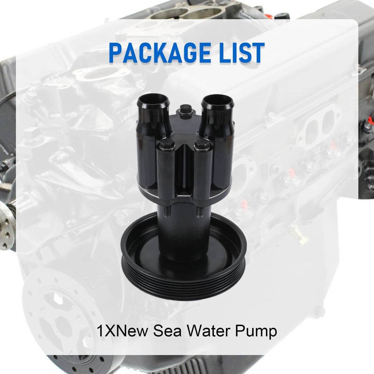 Raw sea water pump with pulley, black housing with four mounting posts