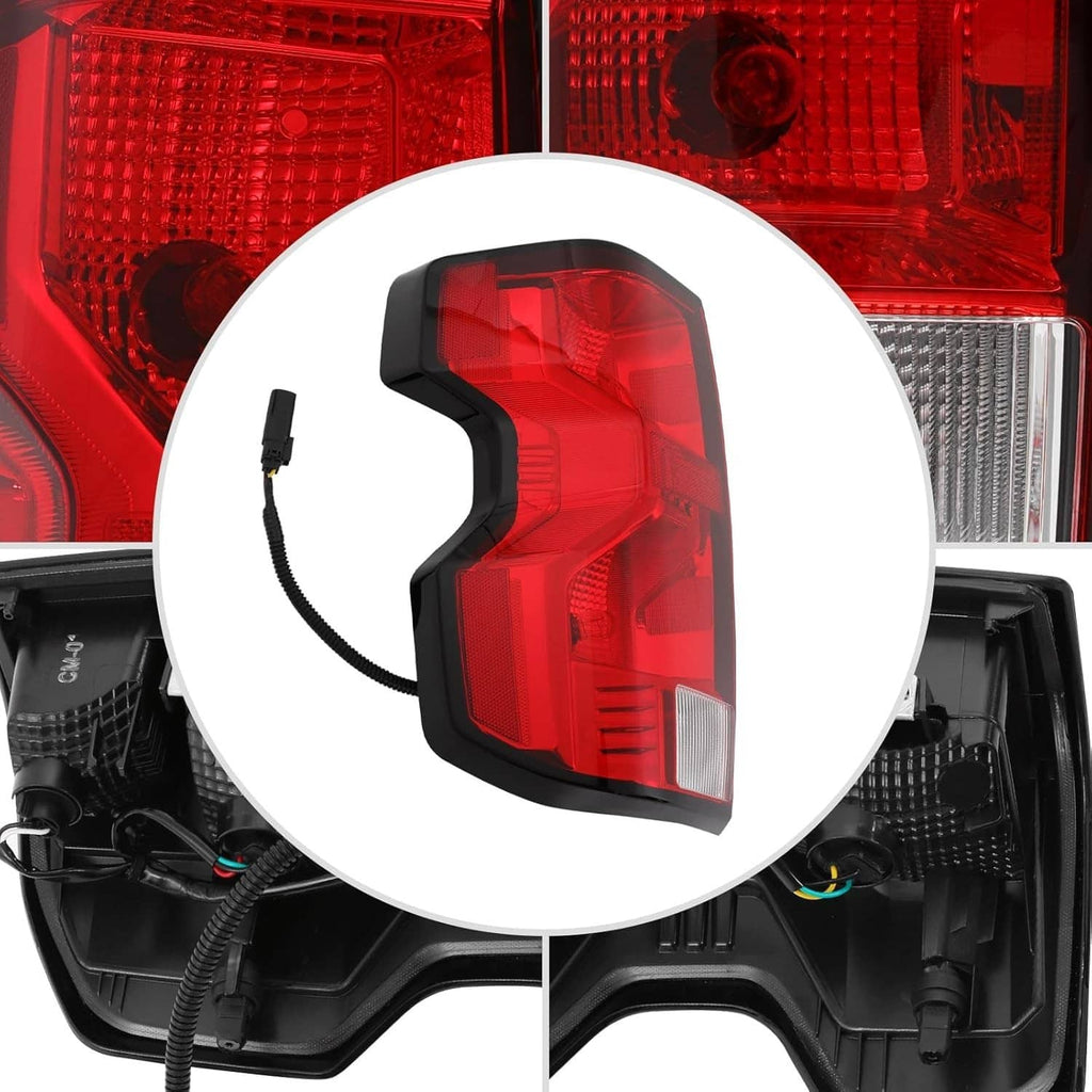Left tail light interior bulb area shown behind red and clear lenses