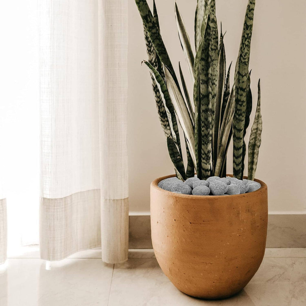 Black lava rocks as plant fill inside a terracotta pot