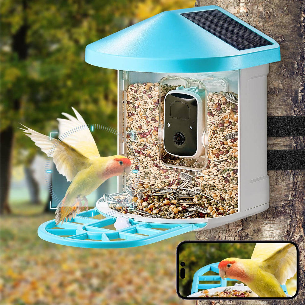 Smart bird feeder with blue roof, clear seed chamber, and built-in camera module
