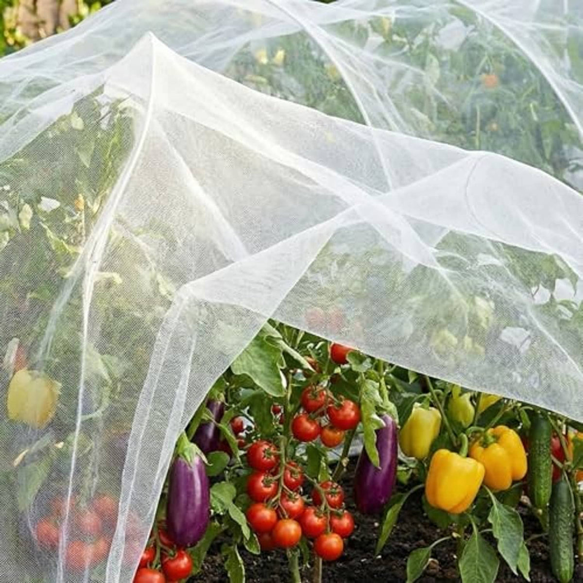 Clear ultra-fine garden netting cover tunnel over peppers and tomatoes