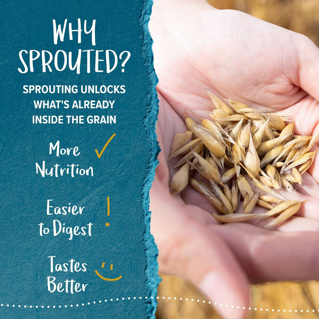 Hand holding sprouted oat grains next to sprouted quick oats packaging