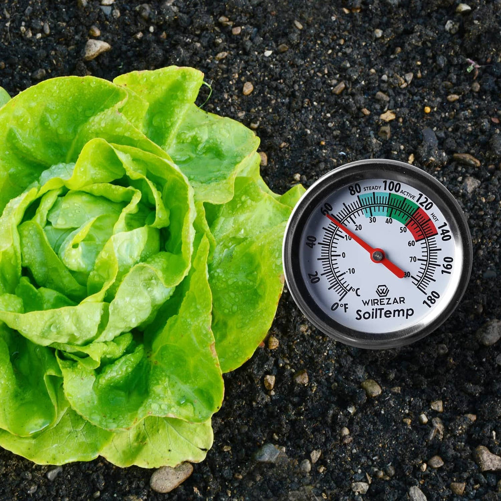 Soil thermometer dial on small probe beside green lettuce on gravel