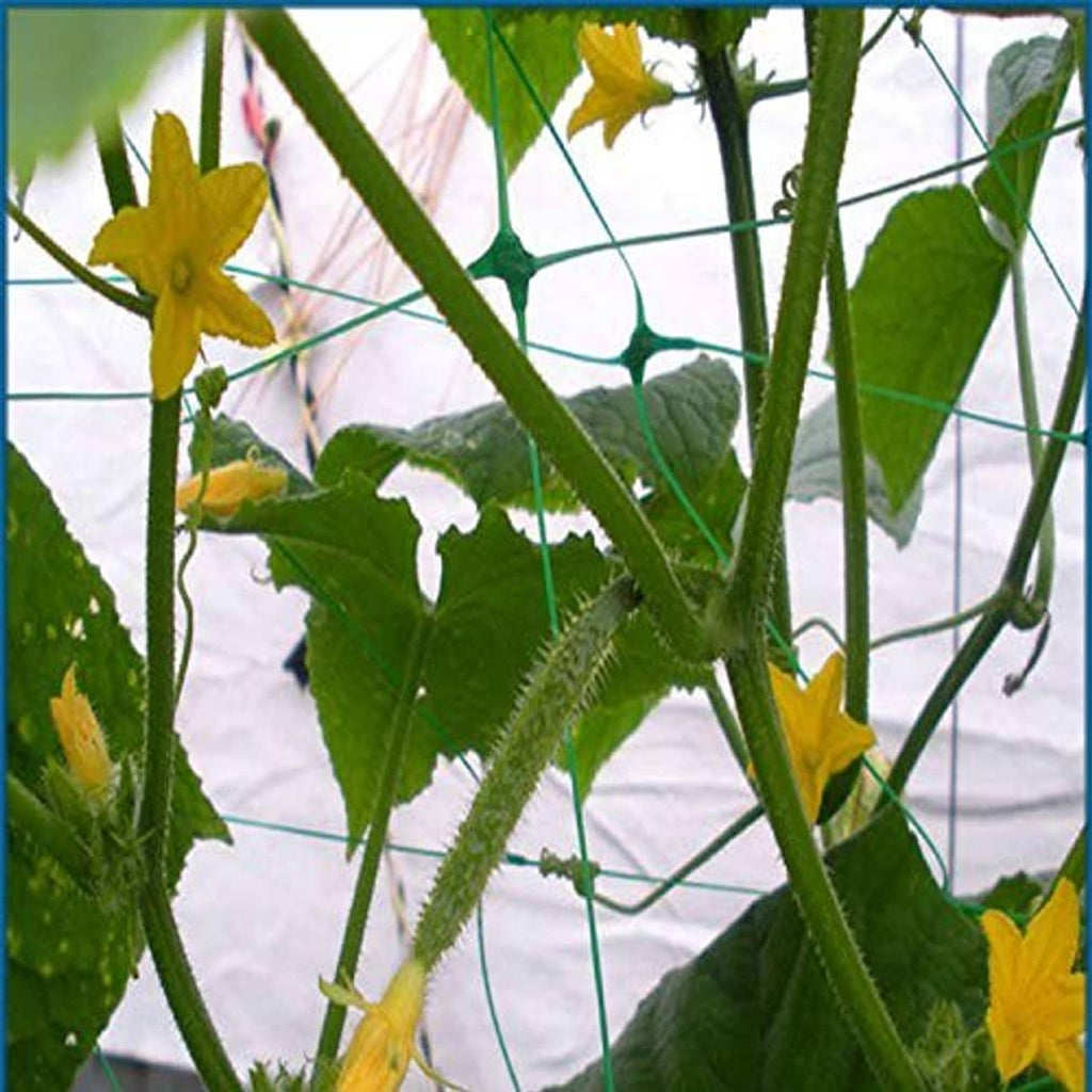 Green square mesh plant support netting wrapped around climbing plants