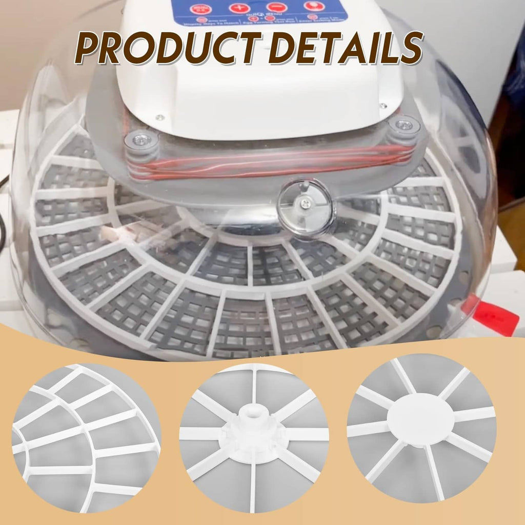 White egg tray interior detail with central hub and evenly spaced grid cells