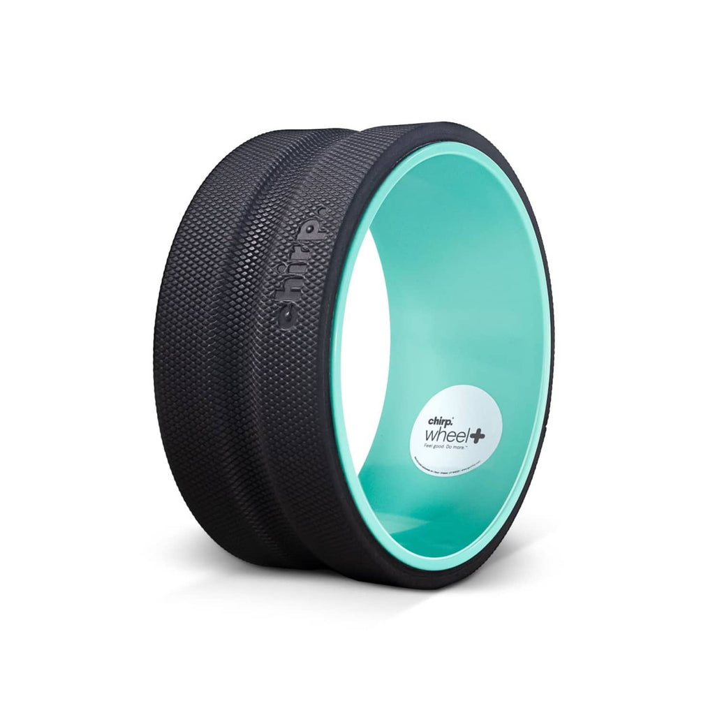 Mint inner-ring black textured foam roller back stretcher, angled studio view
