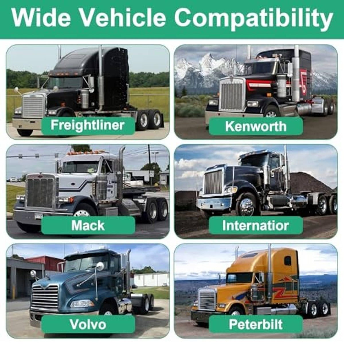 Truck rear panels featuring a stainless steel light panel with oval cutouts