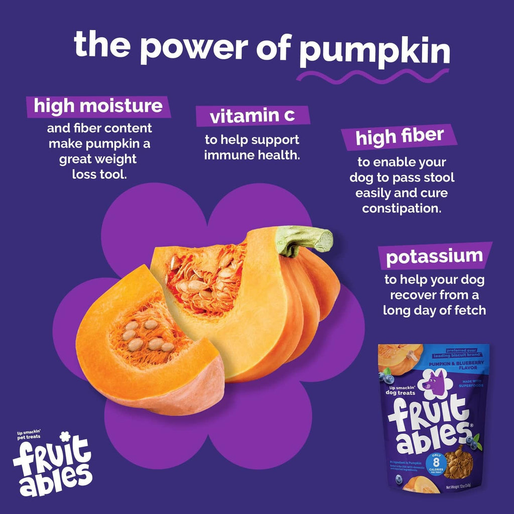 Fruitables power of pumpkin graphic with pumpkin slices and dog treats pouch