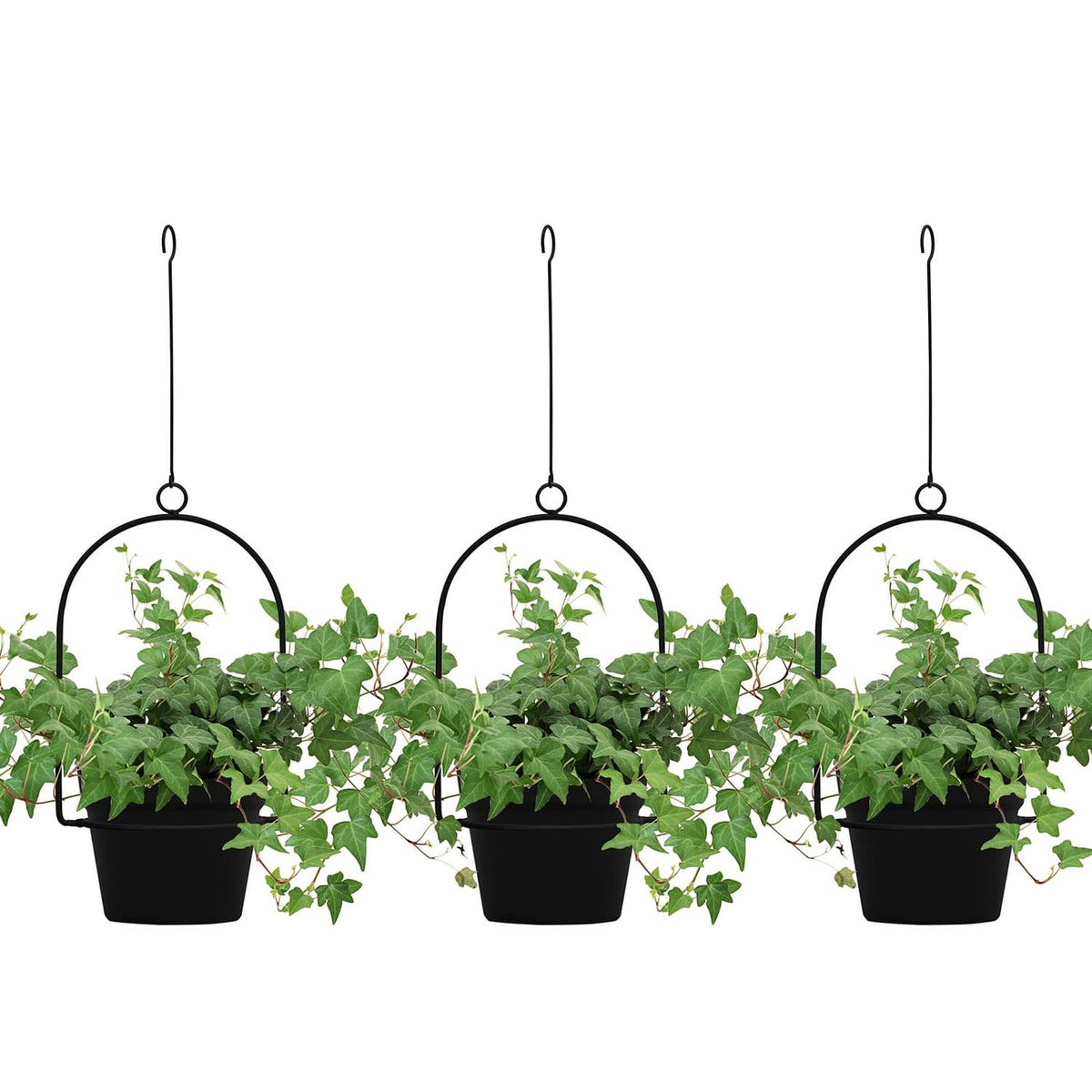 Black hanging plant pots set with three round pots and metal hooks, holding green plants