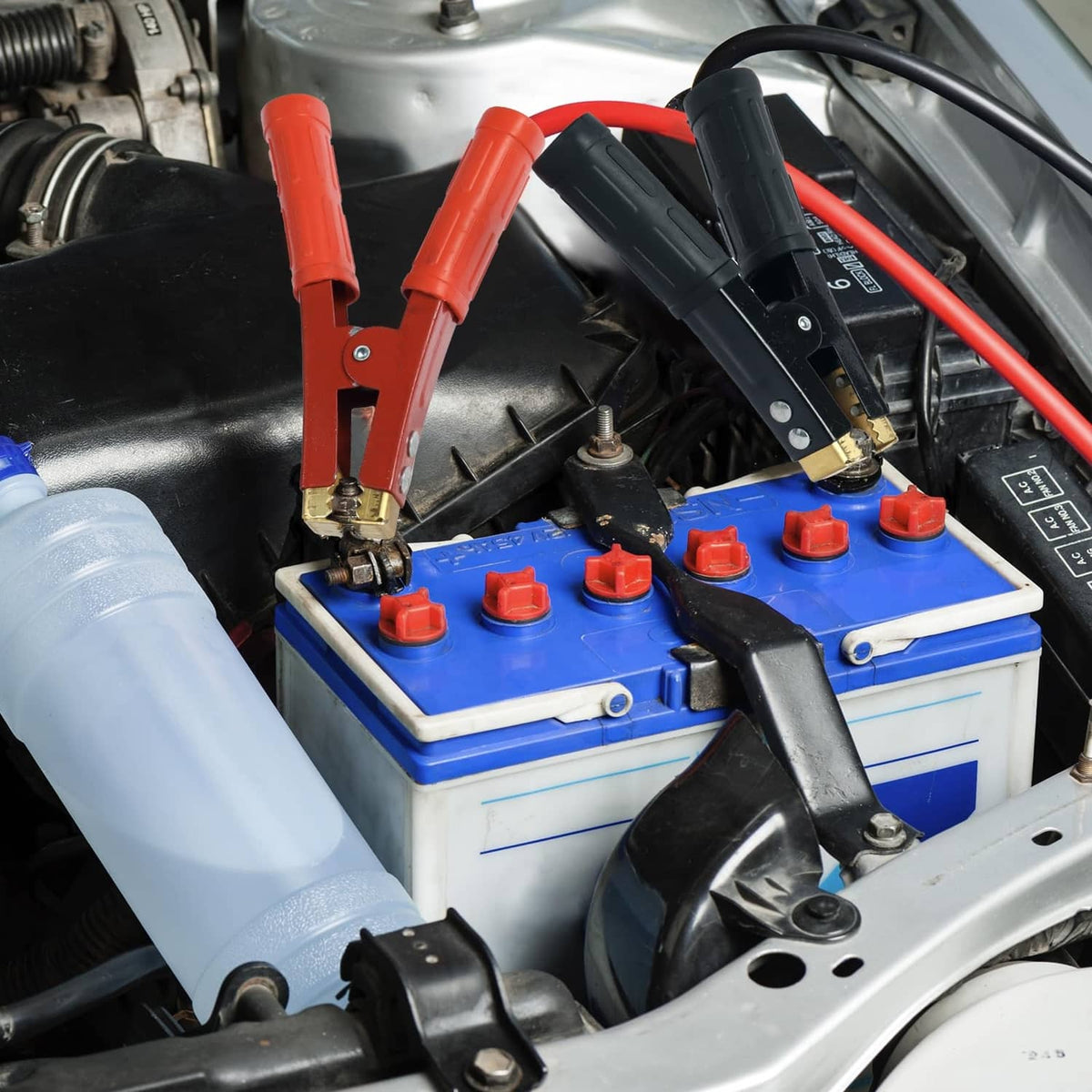Jumper cable clamps attached to a car battery terminals, red and black insulated clips